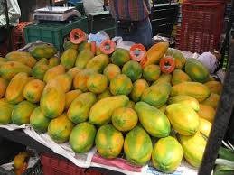 Papaya available for sale every week - 1 - Fruits  on Aster Vender