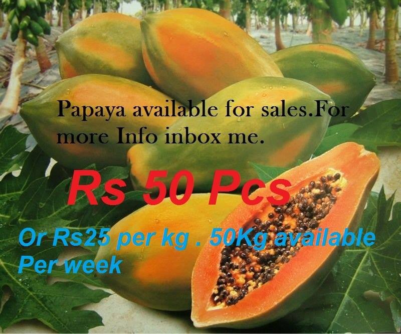 Papaya available for sale every week - 0 - Fruits  on Aster Vender
