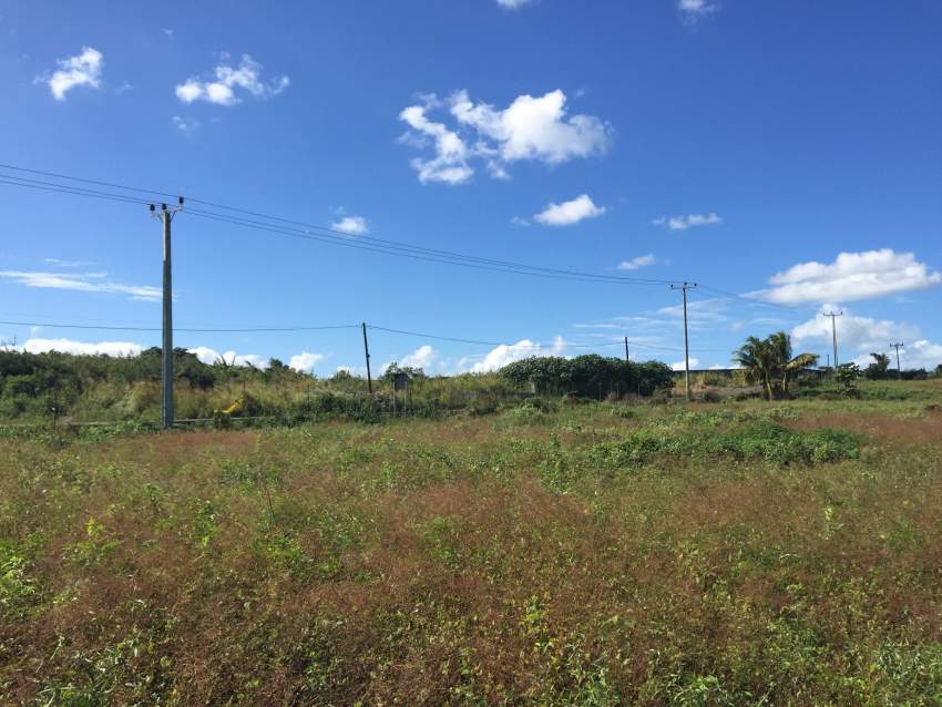 TERRAIN DE 41P DANS LE NORD (GRAND BAIE-CAP MALHEUREUX) - 5 - Land  on Aster Vender