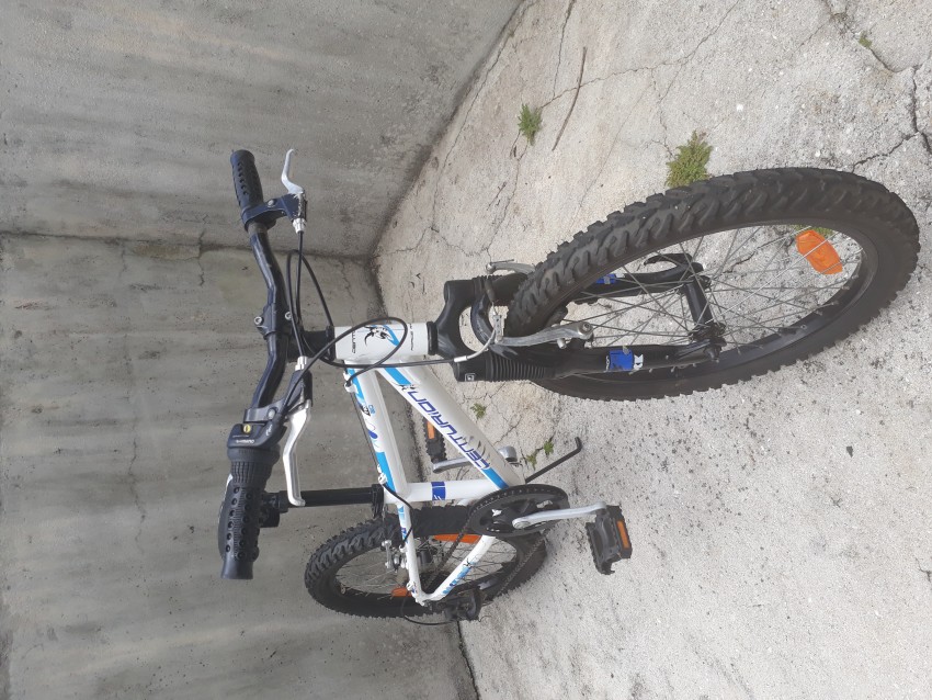 Centurion M Bock 20-Girls Bike - 1 - Kid's bikes  on Aster Vender