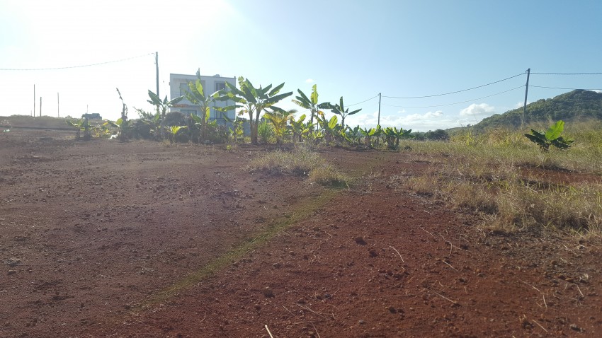 Morcellement ville noire (VRS2) - 1 - Land  on Aster Vender