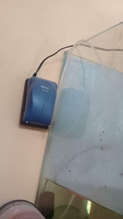 aquarium urgent - 4 - Other Animals  on Aster Vender