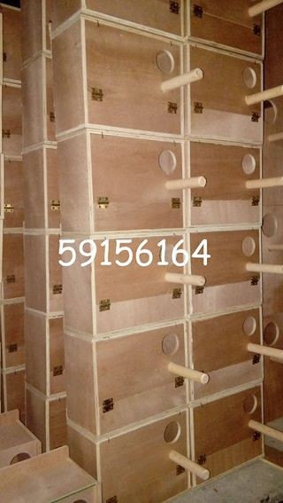 Nest Box (Boite Pondeuse) Lovebird - 0 - Pets supplies & accessories  on Aster Vender