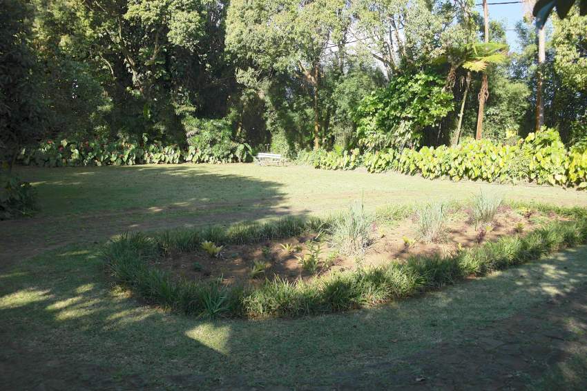 Curepipe 3 bedrooms villa for rent close to shops and schools - 0 - House  on Aster Vender