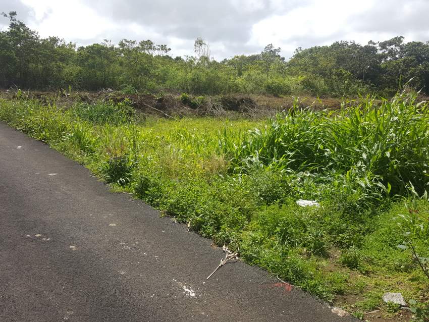 New House for Sale at Grand Bois (1 min de la Route Royale) - 4 - House  on Aster Vender