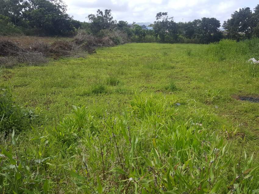 Land of 6p with New House  at Grand Bois (1 min de la Route Royale) - 3 - Land  on Aster Vender