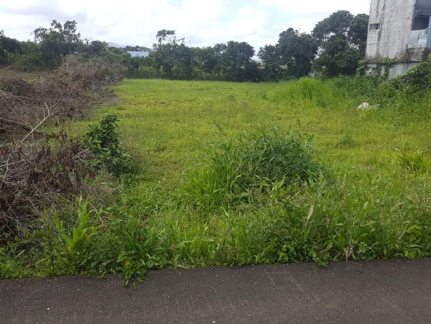 Land of 6p with New House at Grand Bois (1 min de la Route Royale) on Aster Vender