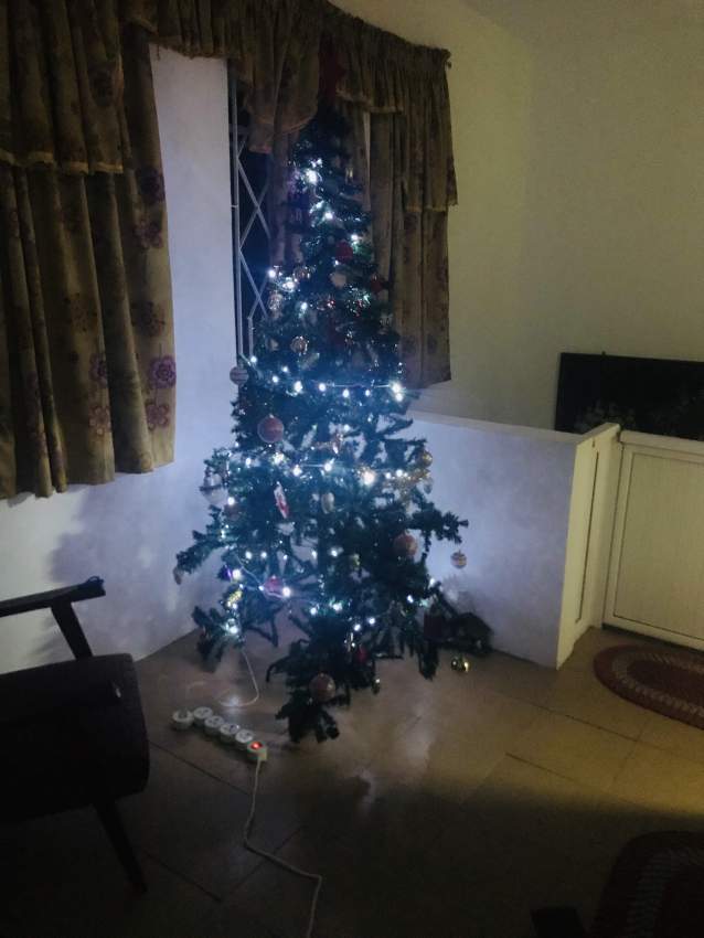 Christmas tree and decorations - 5 - Other Decorations  on Aster Vender