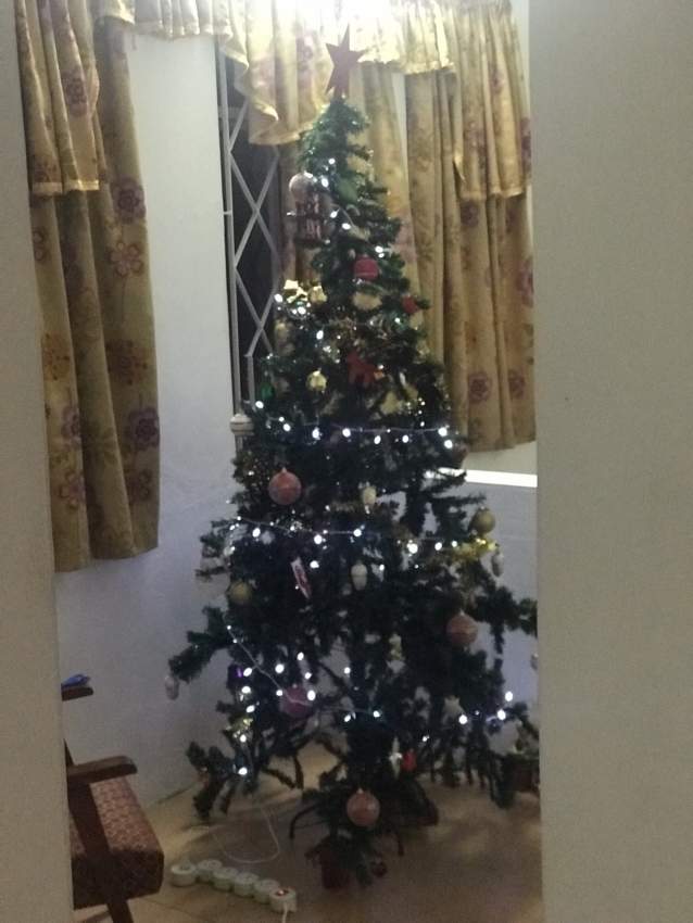 Christmas tree and decorations - 7 - Other Decorations  on Aster Vender