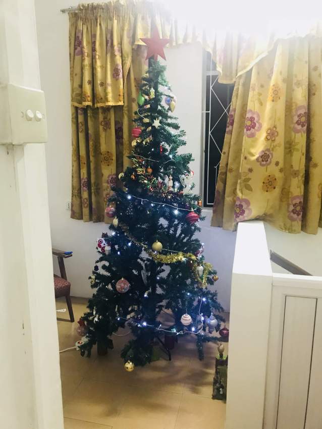 Christmas tree and decorations - 6 - Other Decorations  on Aster Vender