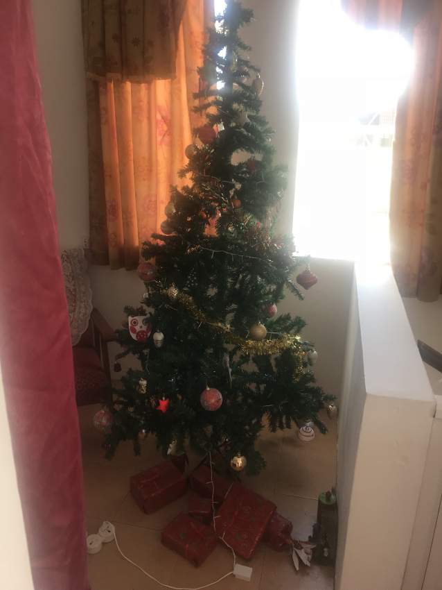 Christmas tree and decorations - 1 - Other Decorations  on Aster Vender