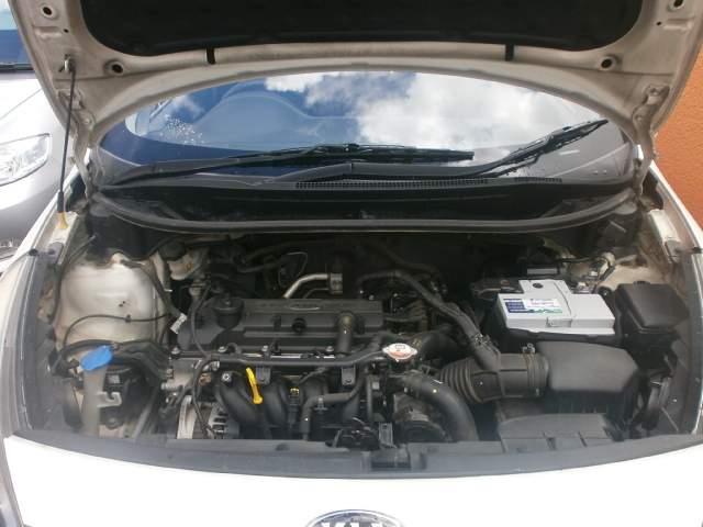 Kia Rio - 6 - Family Cars  on Aster Vender