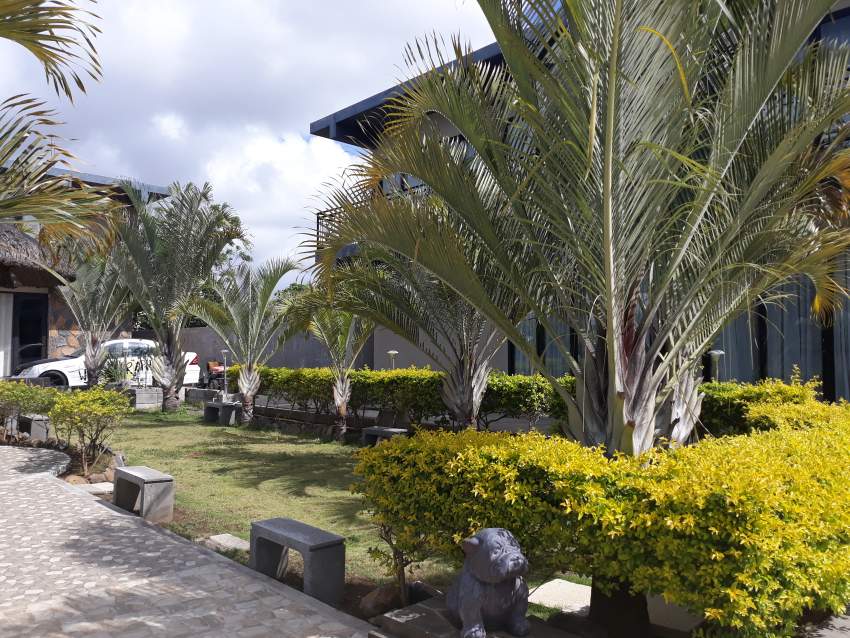 For sale: 3 Villas on land of 1368.10m² - 4 - Villas  on Aster Vender