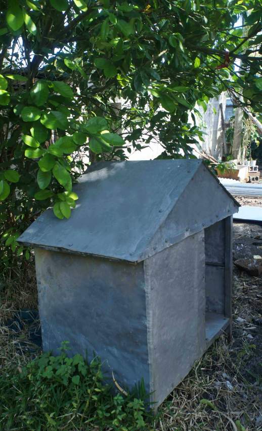 Dog Kennel on Aster Vender