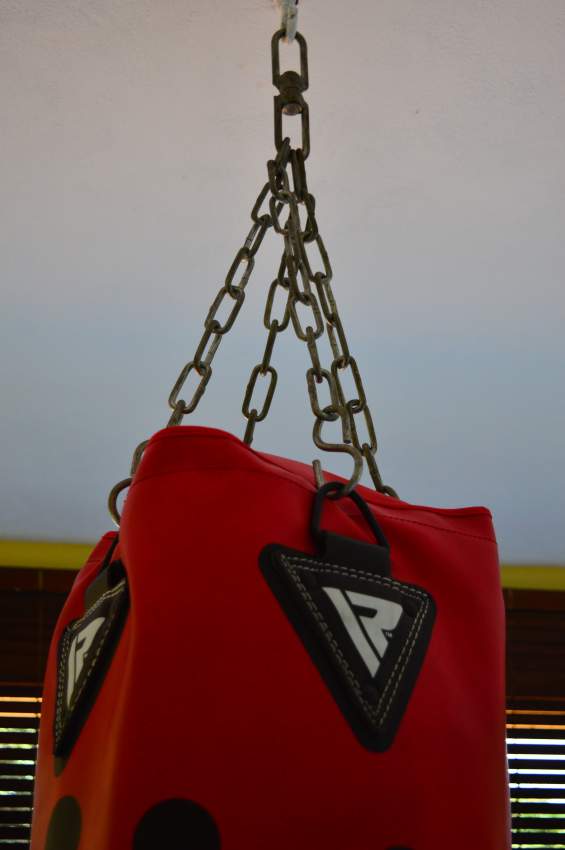 PUNCHING BAG / MMA GLOVES / HAND WRAPS - 2 - Fitness & gym equipment  on Aster Vender