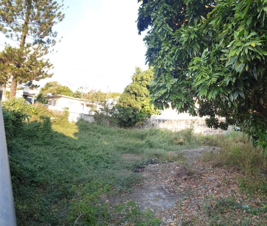 FOR SALE: LAND IN HIGHLY RESIDENTIAL AREA OF ROSE HILL - 1 - Land  on Aster Vender