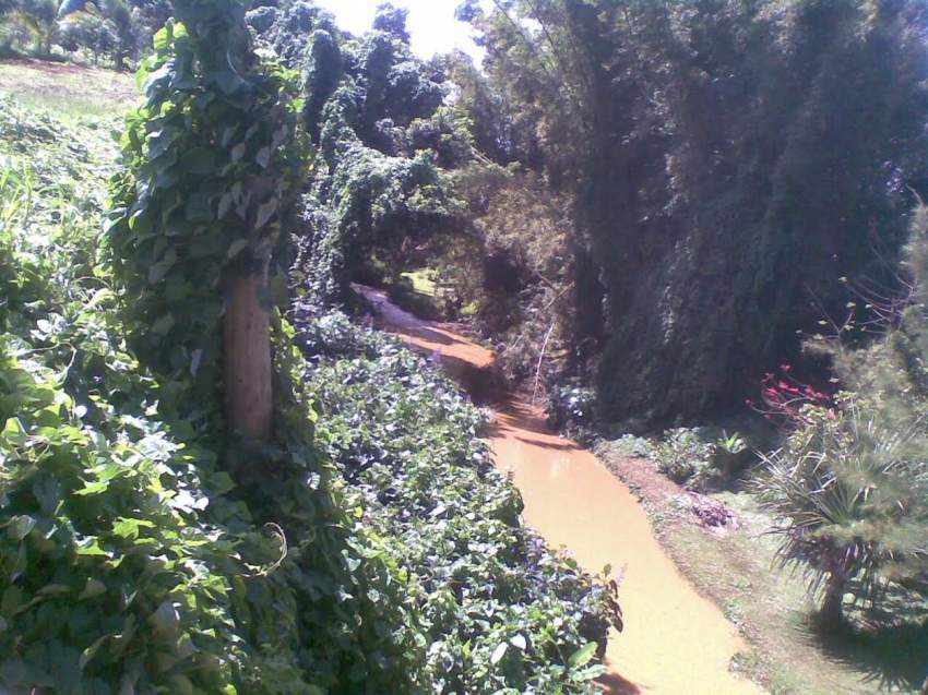 Terrain de 1677M2 situé dans un écrin de verdure au calme  - 0 - Land  on Aster Vender