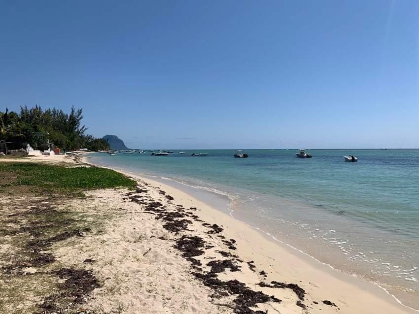  Sublime appartement 3 chambres au bord de l'océan avec piscine  - 0 - Apartments  on Aster Vender