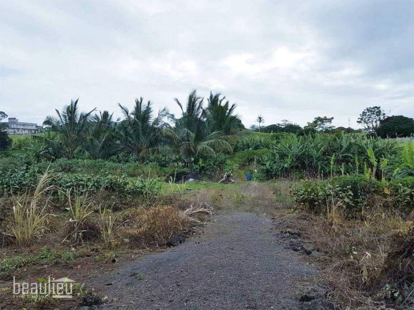 Residential land of 11.5 perches is for sale in Belvédère,Lallmatie. - 0 - Land  on Aster Vender