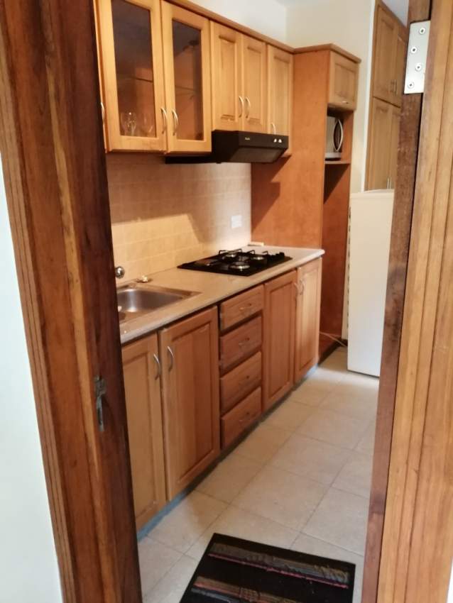 Studio Mur 2.5 m opp Public Beach, Bain Boeuf - 1 - Apartments  on Aster Vender