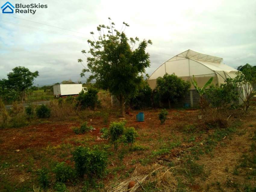 10 Perches first position bypass Triolet - 1 - Land  on Aster Vender