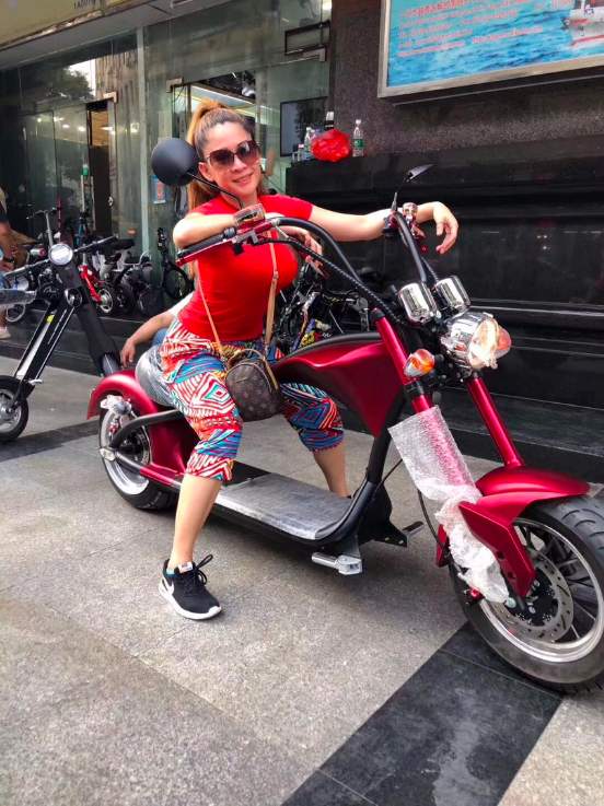 The 'Harley-Davidson' Style Electric Motorbike  - 1 - Scooters (above 50cc)  on Aster Vender