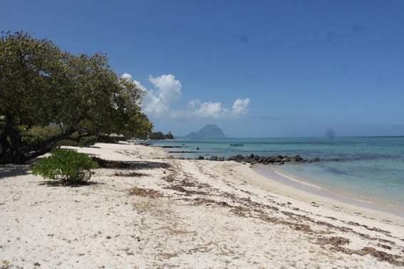 Magnifique penthouse au bord du lagon 3 chambres avec piscine - 0 - Apartments  on Aster Vender