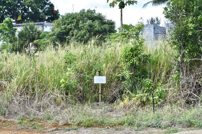 Residential/Commercial Land for Sale (11 perches) - 3 - Land  on Aster Vender