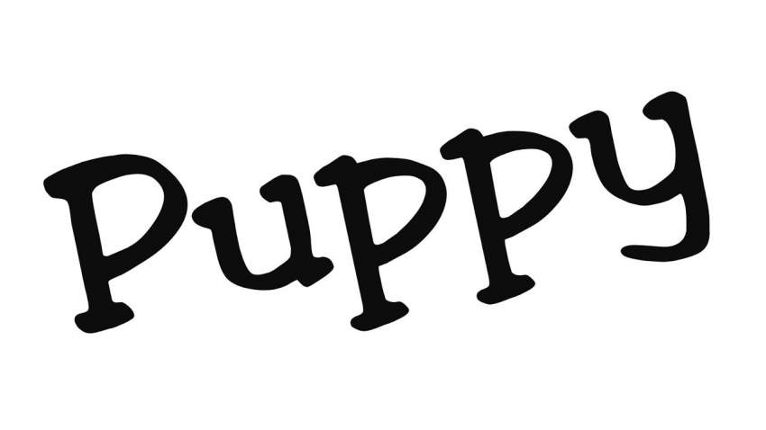 Griffon puppy - 0 - Dogs  on Aster Vender