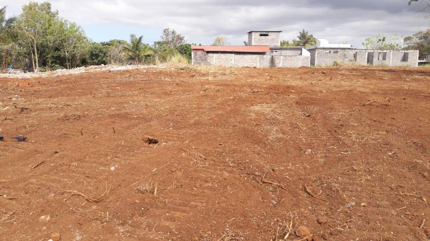 pamplemousse terrain a vendre - 1 - Land  on Aster Vender