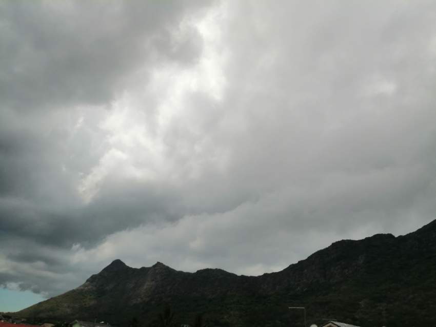 Moka land - 2 - Land  on Aster Vender