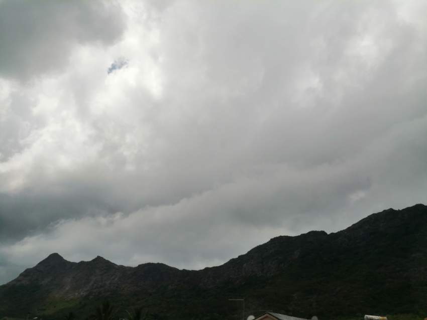 Moka land - 1 - Land  on Aster Vender