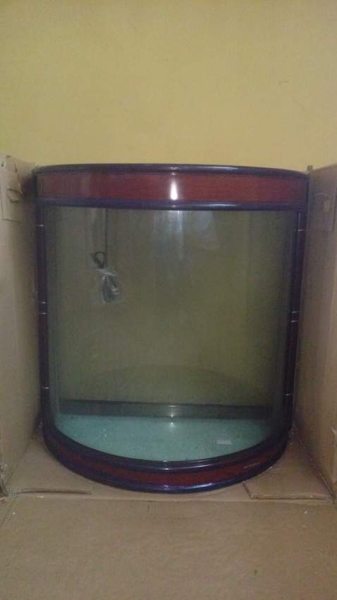 Aquarium Demi Lune Promotions - 1 -  Aquarium fish  on Aster Vender