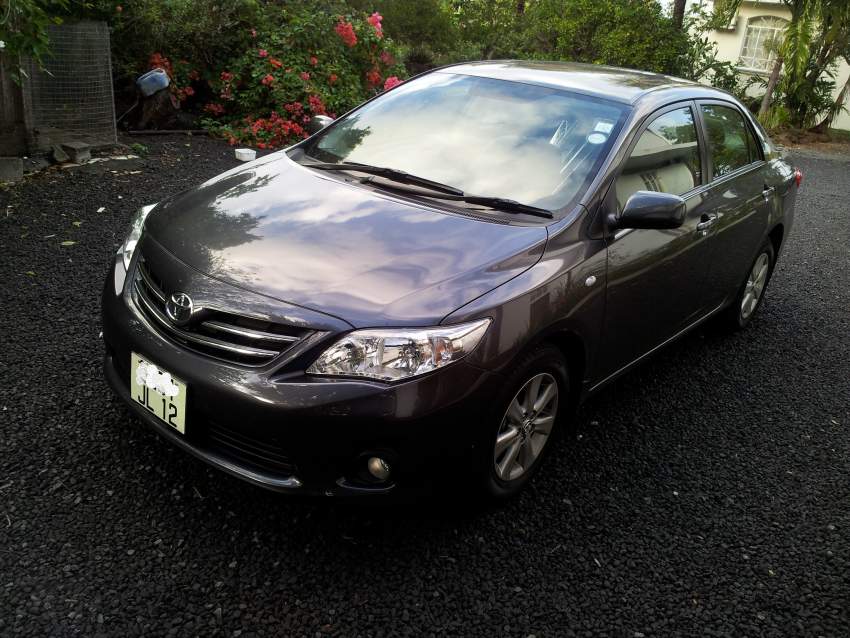 Toyota corolla  - 4 - Luxury Cars  on Aster Vender