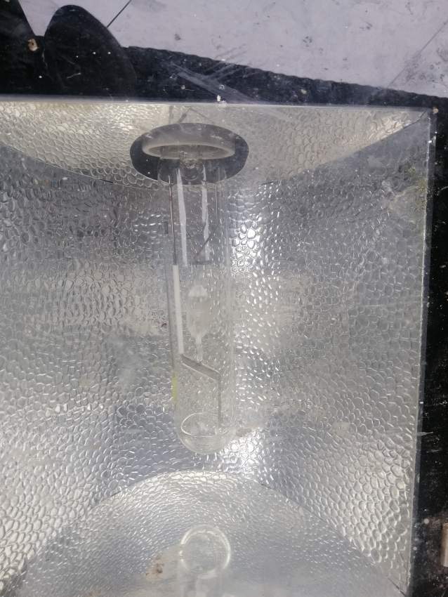 Fog light - 2 - Others  on Aster Vender