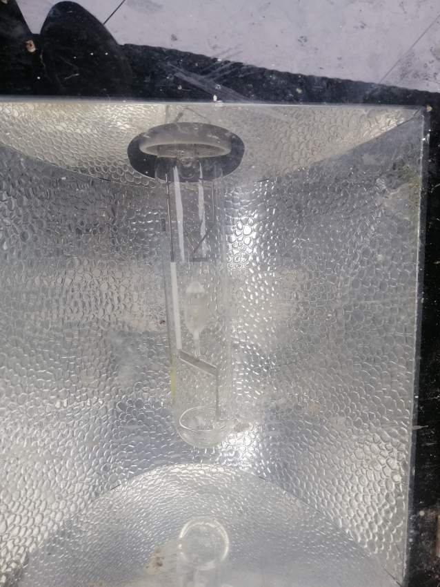 Fog light - 1 - Others  on Aster Vender