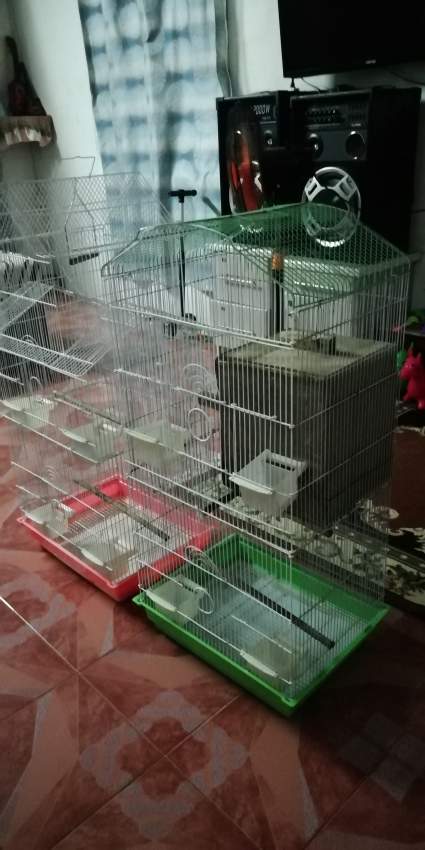 Bird cage - 1 - Others  on Aster Vender