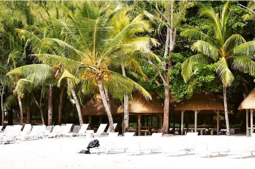 Beach Wedding (100-350 guests) or on Catamaran 35 guests - 6 - Events  on Aster Vender