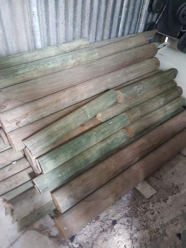 Timber woods on Aster Vender