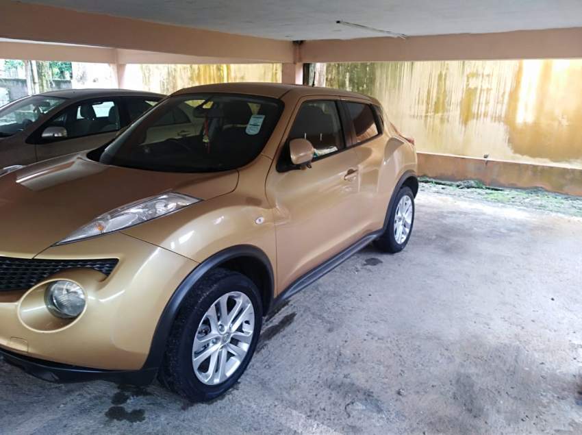 Nissan Juke - 2 - SUV Cars  on Aster Vender
