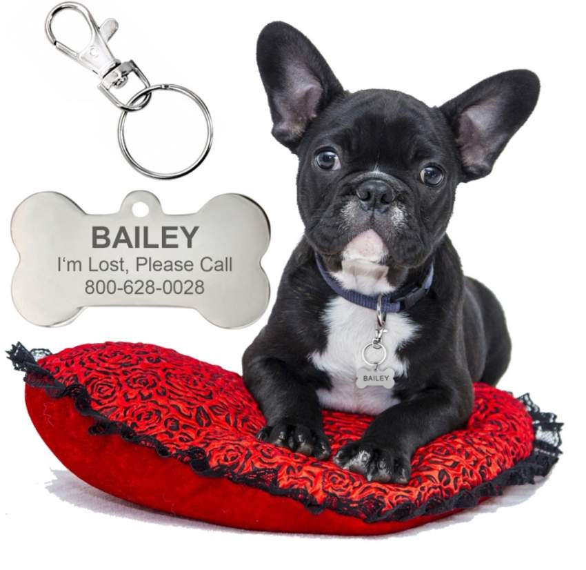 PERSONALISED DOG & CAT ID TAG on Aster Vender