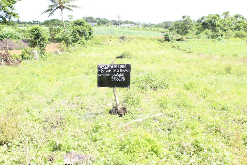 RESIDENTIAL LAND FOR SALE AT MONT-IDA FLACQ (28.2 PERCHES) - 7 - Land  on Aster Vender