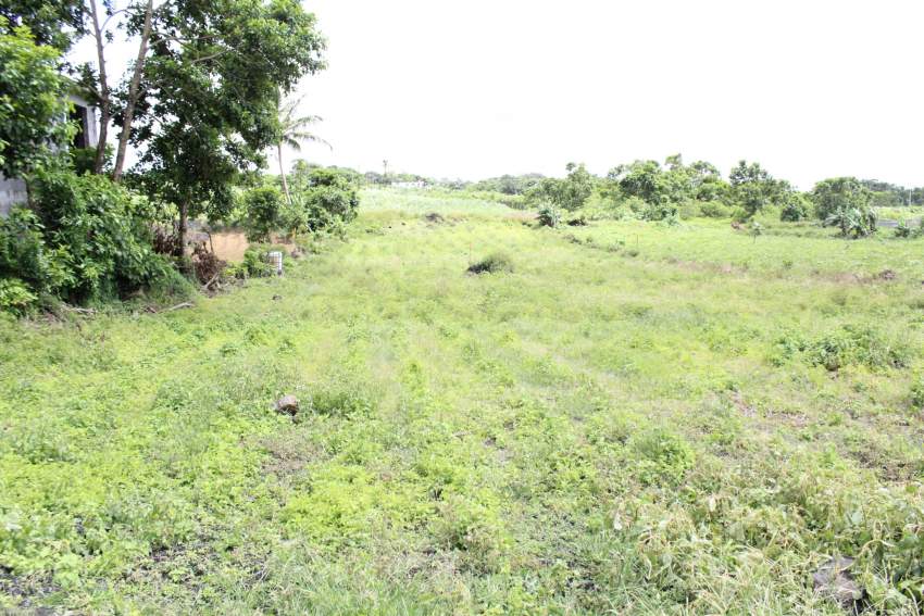RESIDENTIAL LAND FOR SALE AT MONT-IDA FLACQ (28.2 PERCHES) - 3 - Land  on Aster Vender
