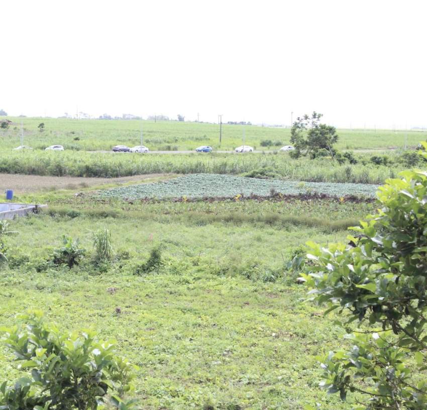 RESIDENTIAL LAND FOR SALE AT MONT-IDA FLACQ (28.2 PERCHES) - 6 - Land  on Aster Vender