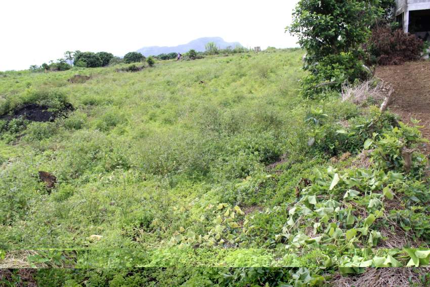 RESIDENTIAL LAND FOR SALE AT MONT-IDA FLACQ (28.2 PERCHES) - 5 - Land  on Aster Vender