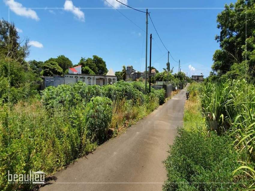 Residential land of 12 perches for sale in Petit Village Goodlands  - 0 - Land  on Aster Vender