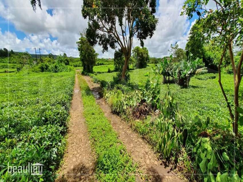 Agricultural land of 27.6 perches for sale in Nouvelle France - 0 - Land  on Aster Vender