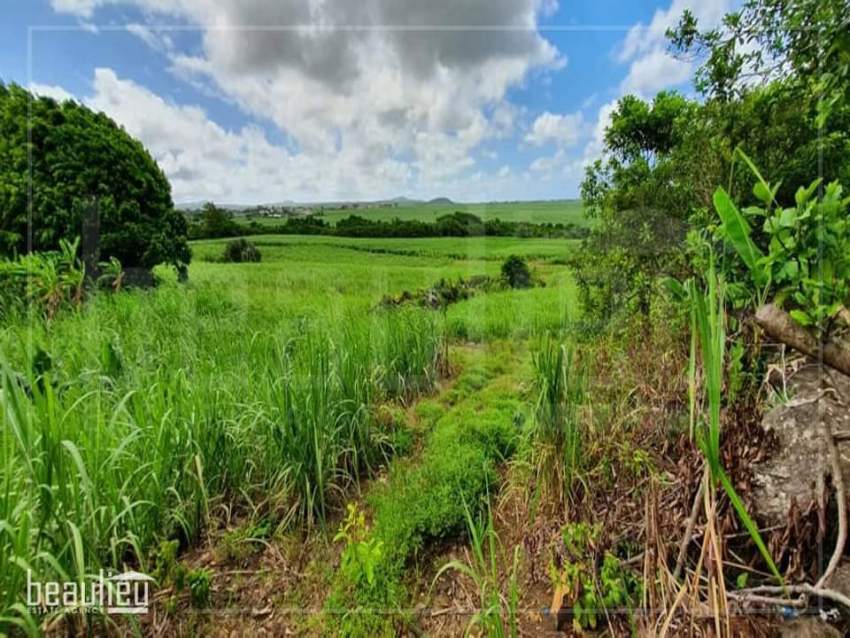 Agricultural land of 3 arpent 63 perches is for sale in Camp De Masque on Aster Vender