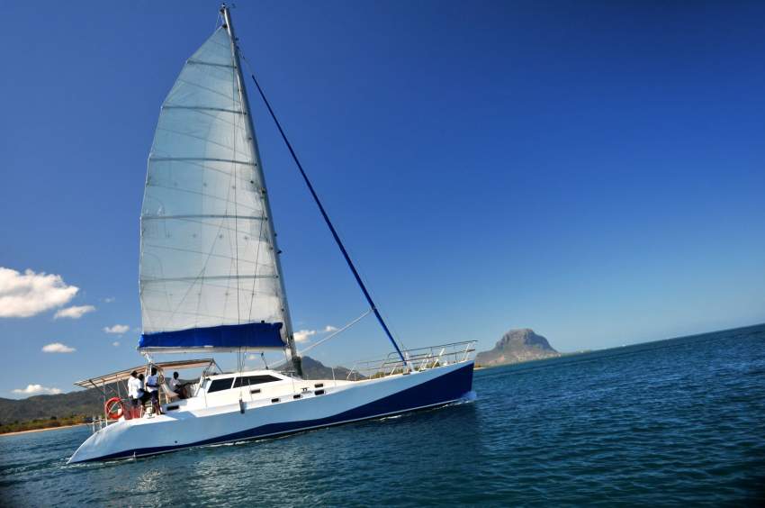 Catamaran for sale   on Aster Vender