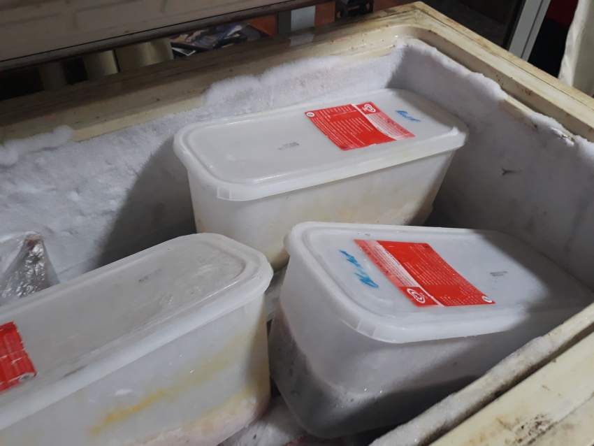 Frigo - 1 - All electronics products  on Aster Vender